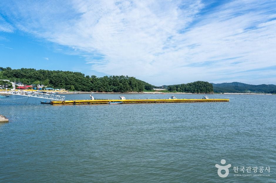 왕산포구