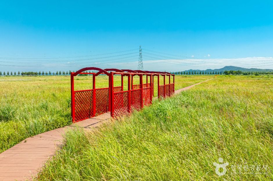 thumbnail-대부바다향기테마파크-4