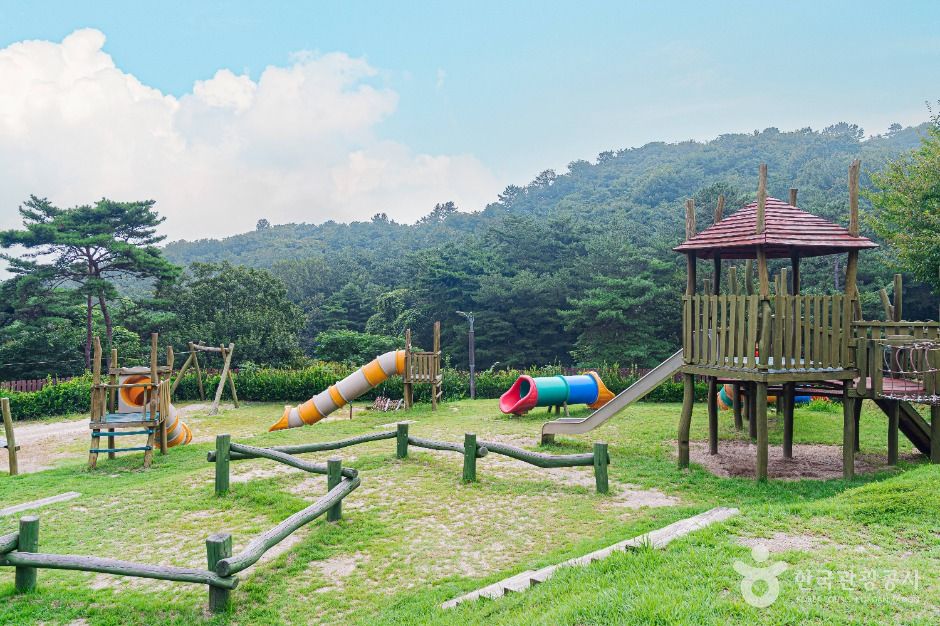 금성산생태숲
