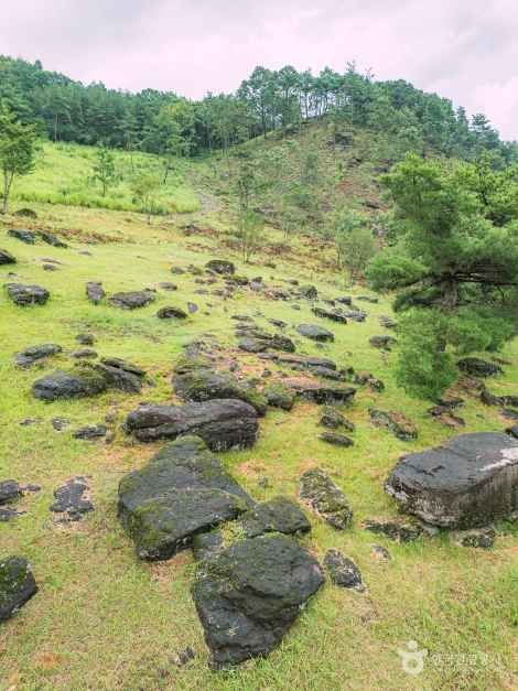 화순 고인돌군 유적 [유네스코 세계유산]