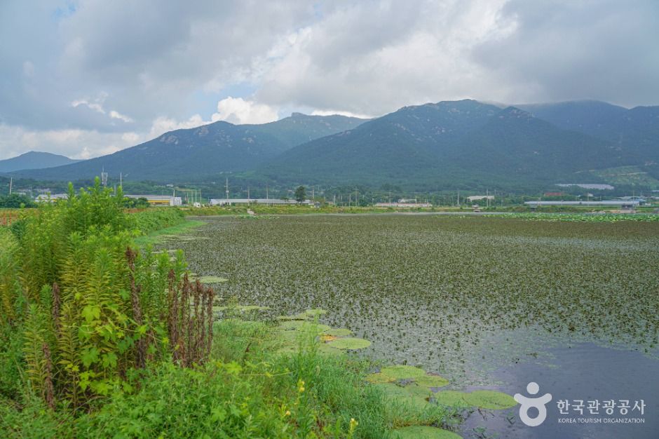 장흥_포항저수지 (5)
