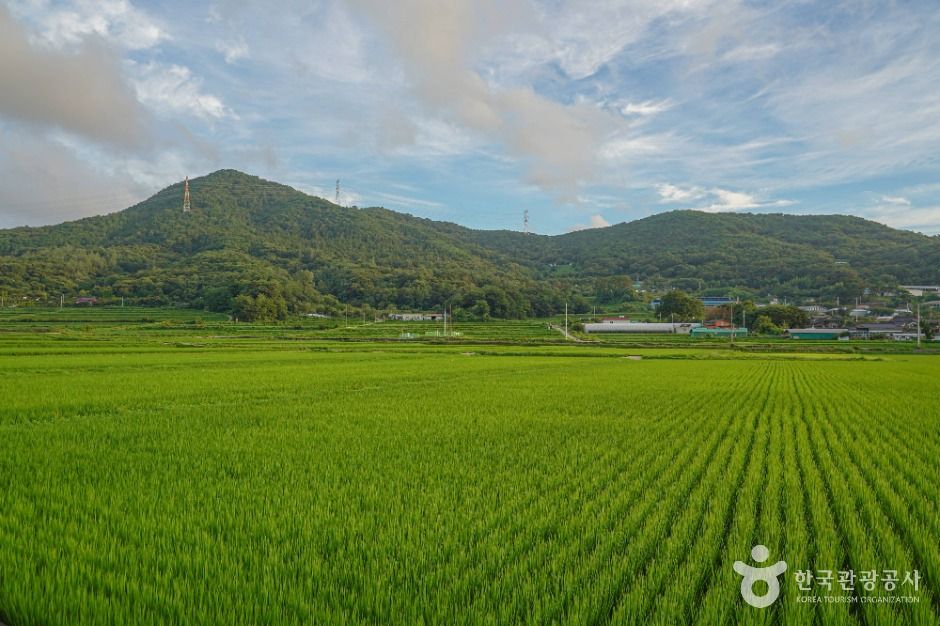 청광새들녘마을