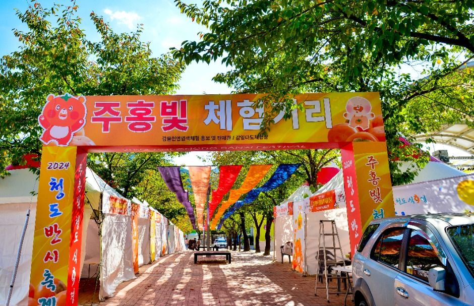 2025 청도반시축제 4