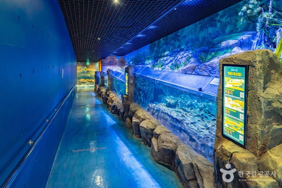 섬진강어류생태관