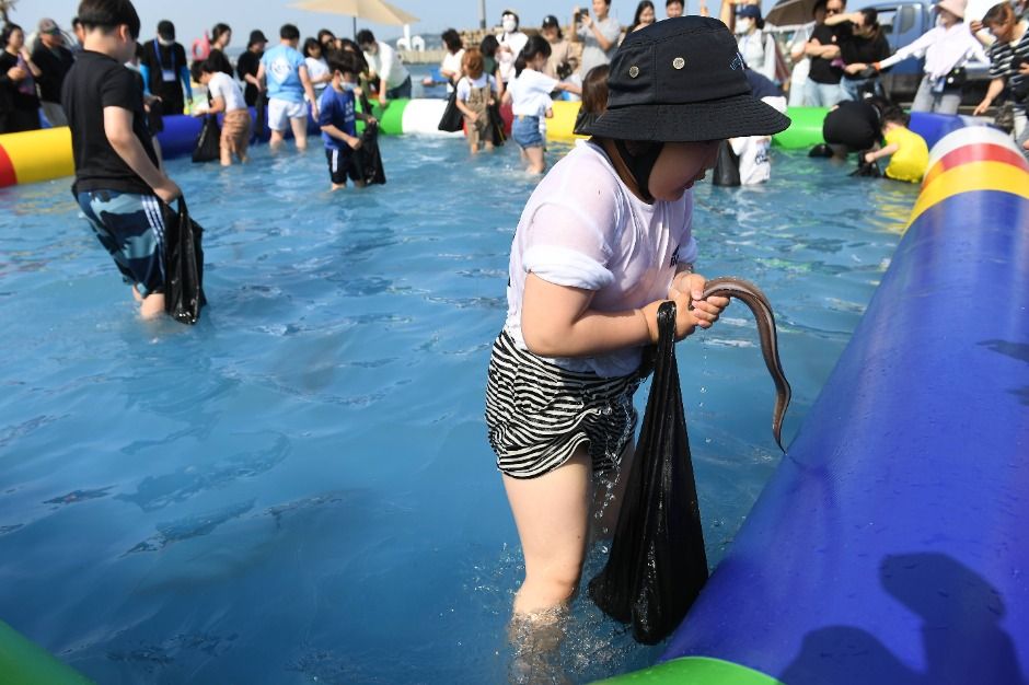 기장붕장어축제in칠암