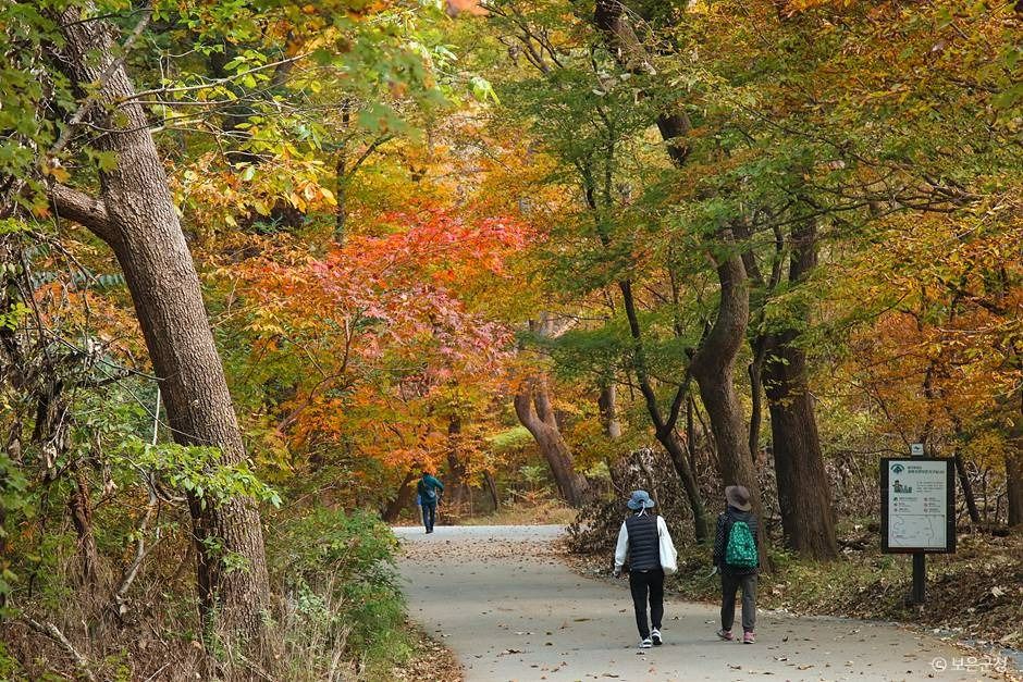 보은_세조길 (14)