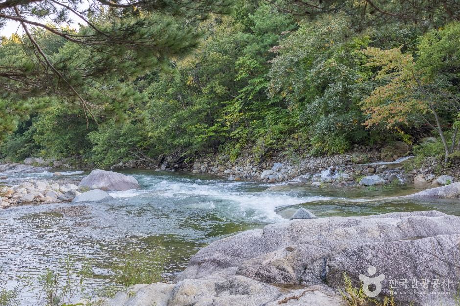 도원리계곡