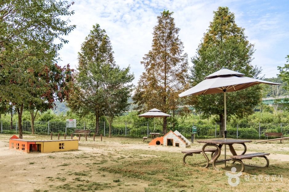 기흥레스피아호수공원 반려동물놀이터