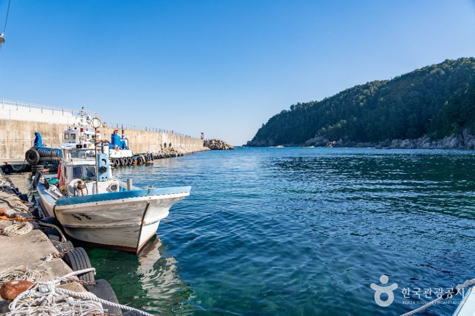 thumbnail-대진항(삼척)-3