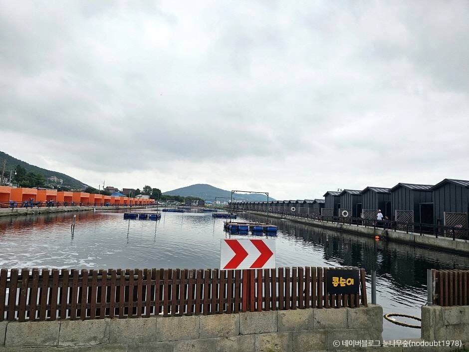 선두바다낚시터