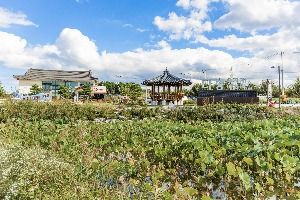 다송무지개매화마을