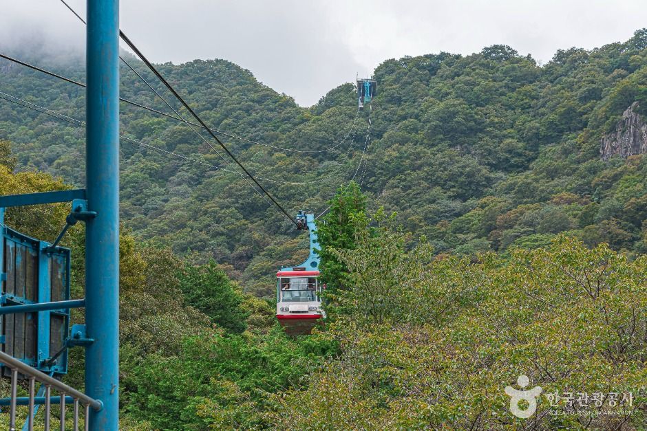 thumbnail-정읍 내장산 관광특구-1