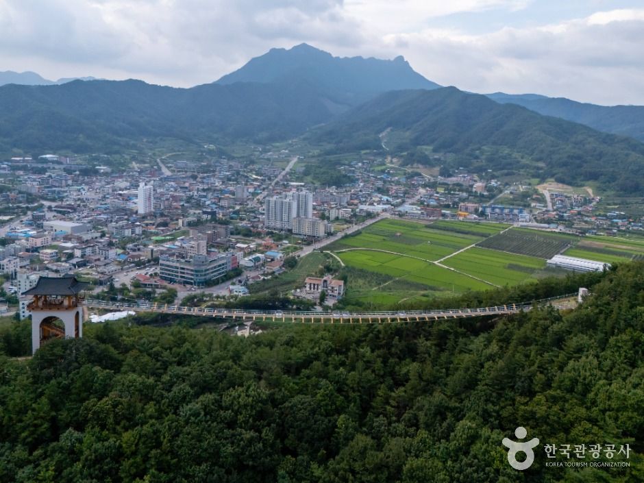 봉명산 출렁다리