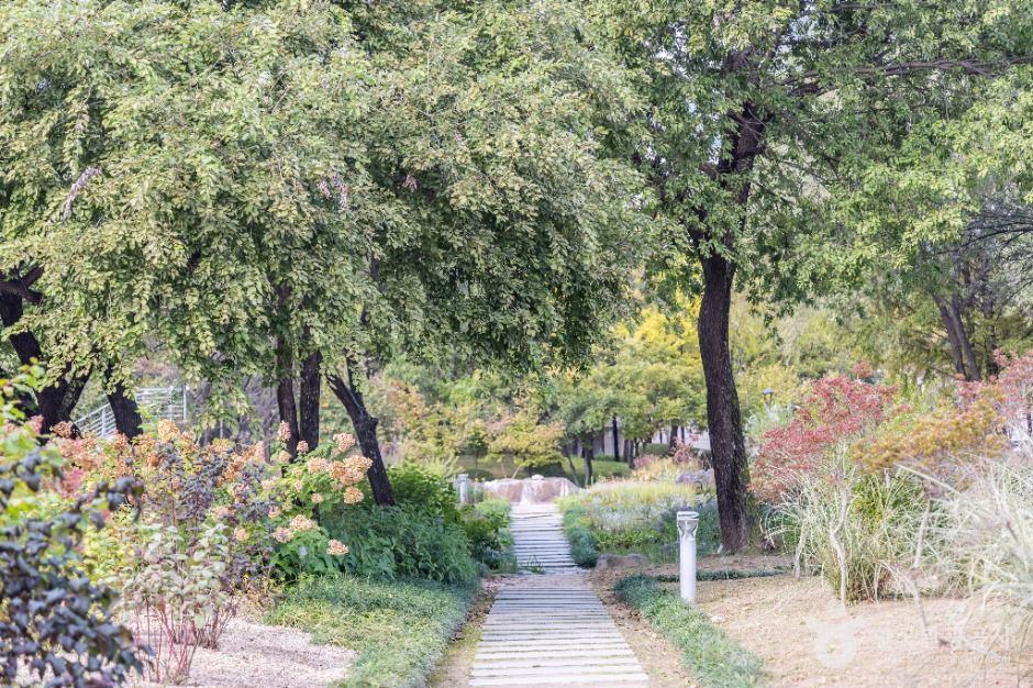 서울_서울창포원 (20)