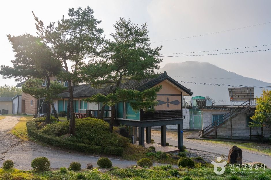 제천 산야초마을