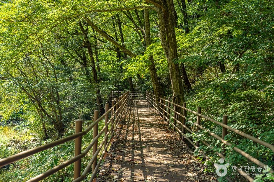 덕산계곡(덕산용소)