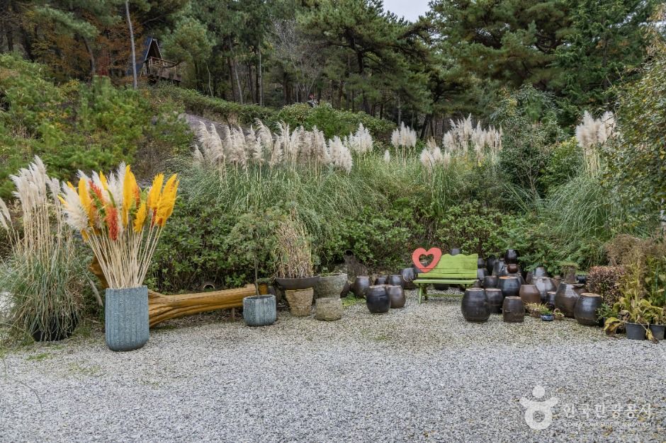 포레스트 수목원