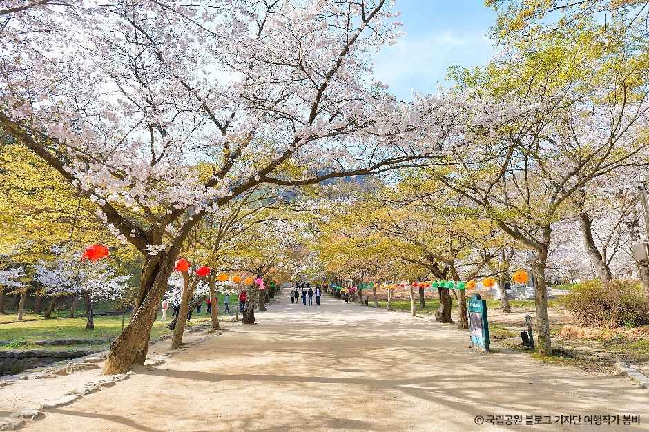 thumbnail-내소사(부안)-13