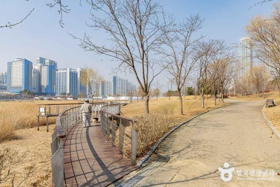 thumbnail-청라호수공원-25