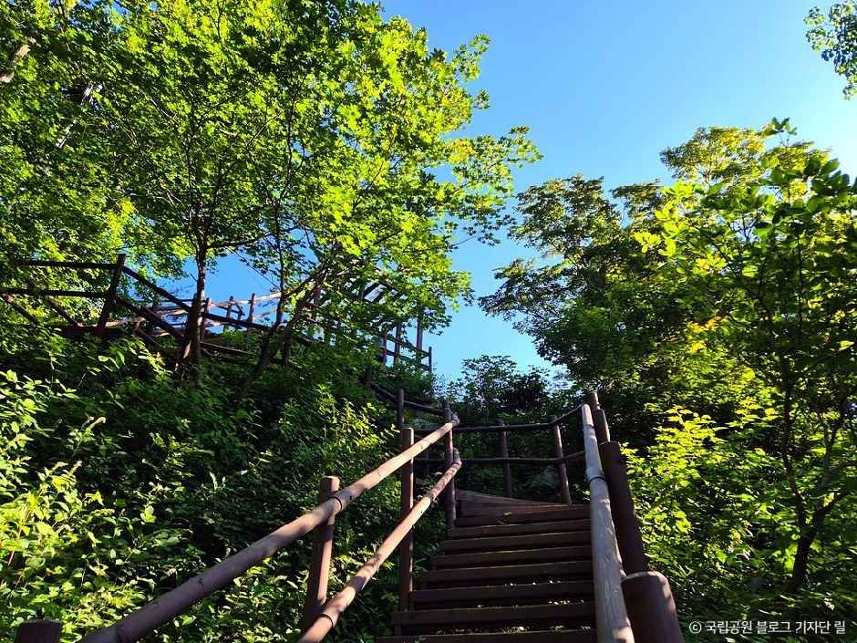 thumbnail-치악산국립공원-6