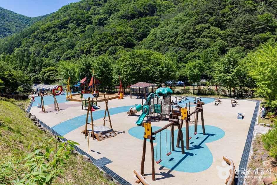 thumbnail-장령산자연휴양림-8