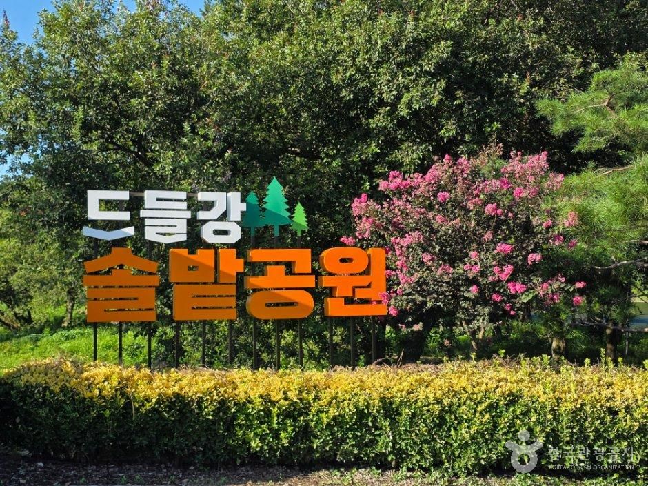thumbnail-드들강솔밭유원지-7