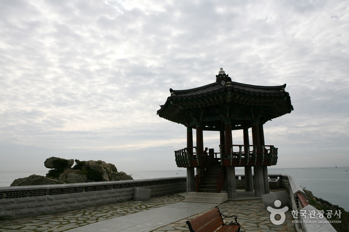 송정 죽도공원6