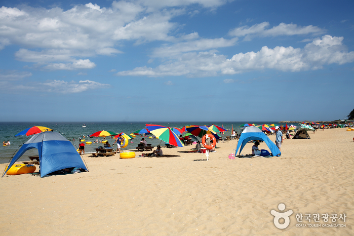 Пляж Самчхок (삼척해변)