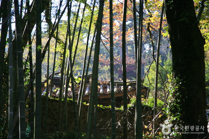 Bamboo House (대나무집)