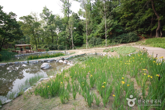 Parque Ecológico del Monte Gwanaksan (관악산 생태공원)