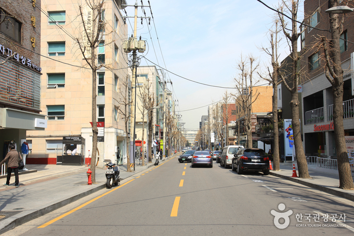 Sinsadong Garosu-gil Road (신사동 가로수길)
