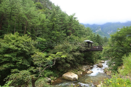 Hwanseongul Cave (환선굴(대이리군립공원))