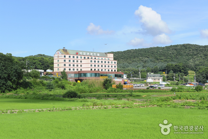 Yagam Hongyeomcheon Tourist Hotel (약암홍염천관광호텔)3