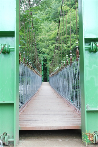 Mulhan Valley (물한계곡)