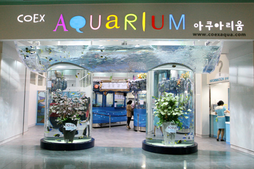 COEX Aquarium (코엑스 아쿠아리움)