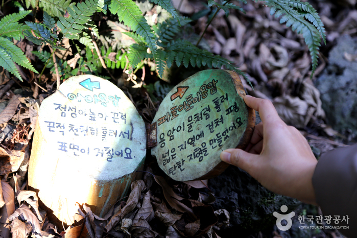 선흘곶자왈 (제주도 국가지질공원)1