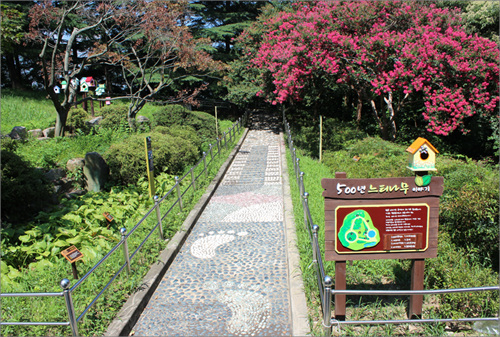 현풍 500년 느티나무 테마공원