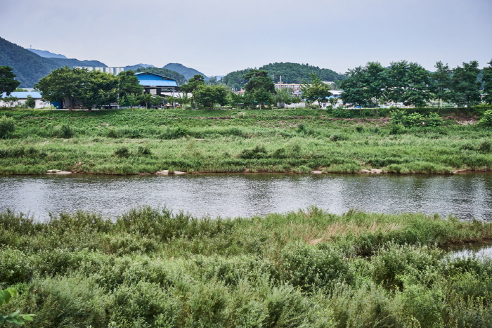 대진교강변 마을관리휴양지9