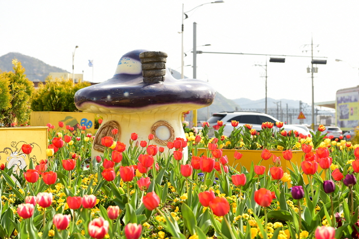 장성 빈센트의 봄 20190