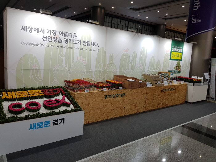 선인장페스티벌4