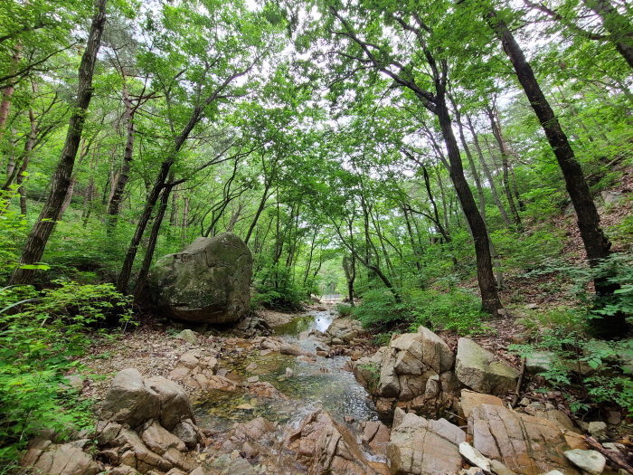 Busan Healing Forest (부산 치유의 숲)