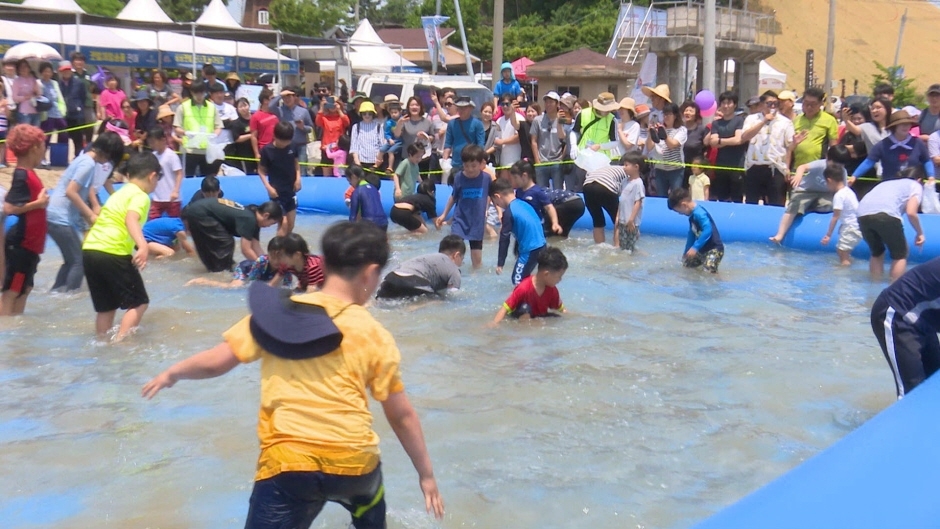 고창갯벌체험축제 (3)