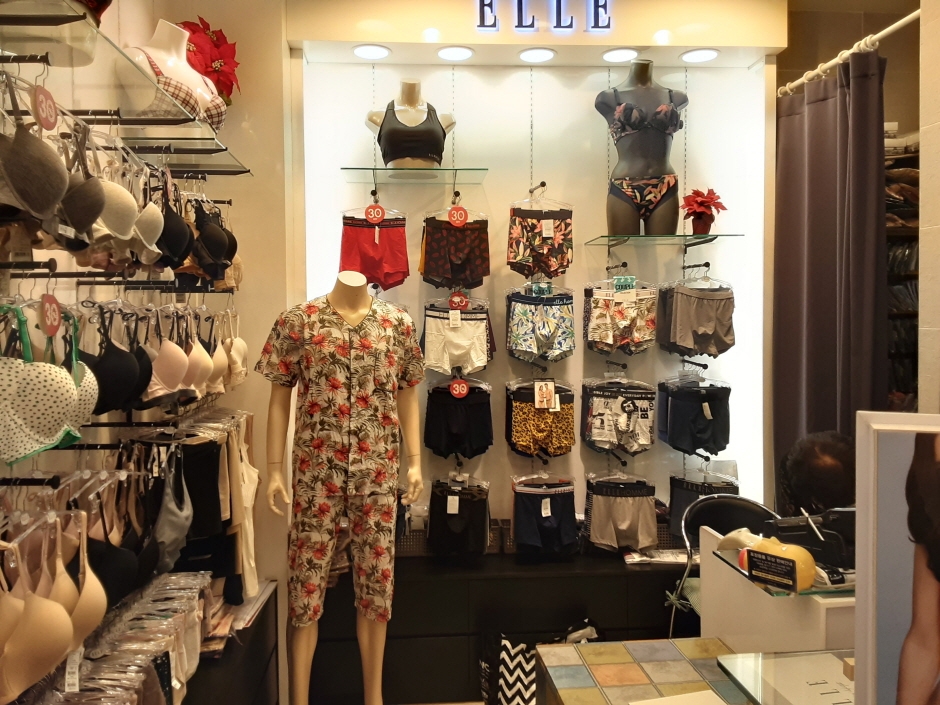[事後免稅店] Elle Underwear (NewCore折扣購物中心蔚山店)(엘르언더웨어뉴코아울산점)