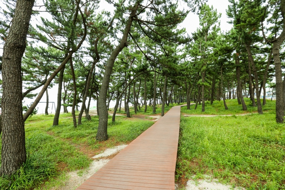 Gangneung Gyeongpo Beach (강릉 경포해수욕장)