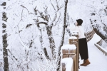 발왕산 천년주목숲길 (4)