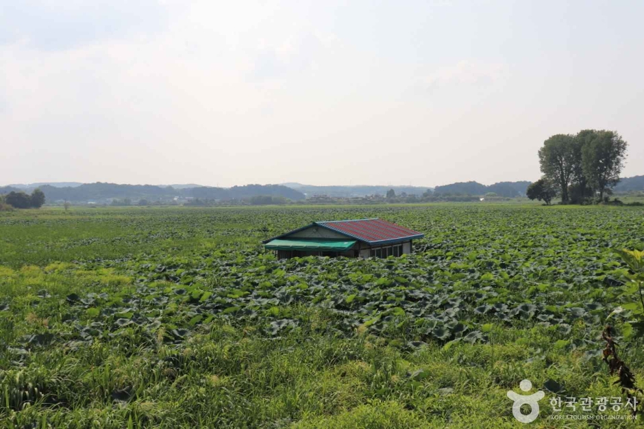 당진 오봉제