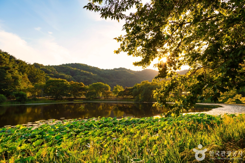 청주 상당산성