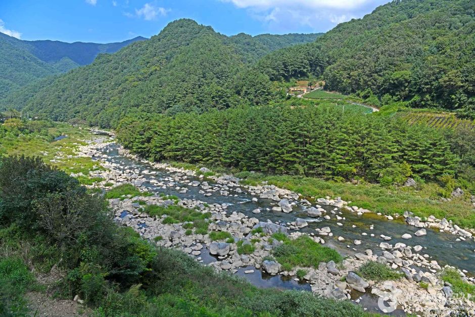 고로쇠마을(미산마을)