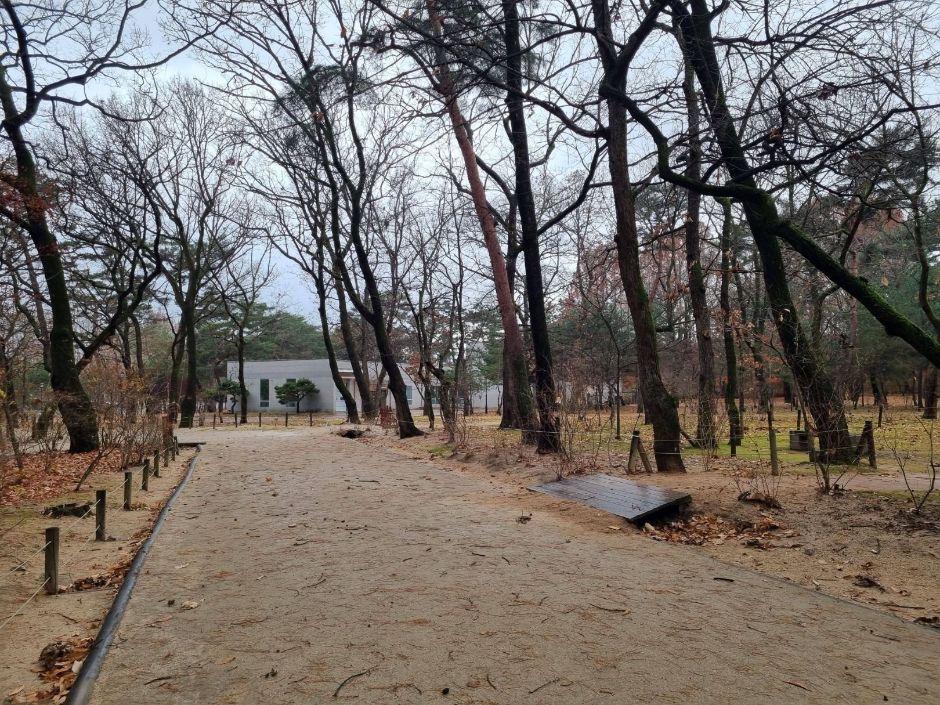 thumbnail-태릉강릉-12