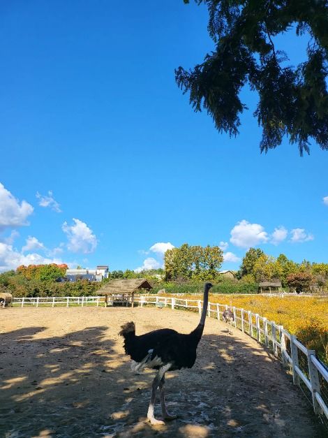 아그로랜드 태신목장